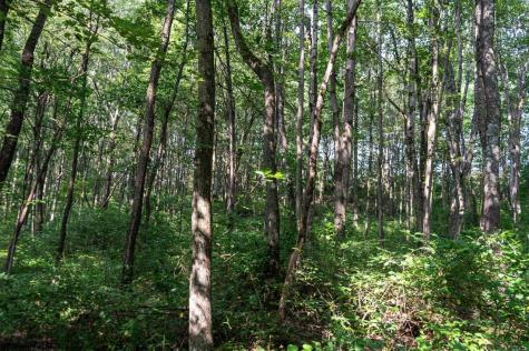 0 N Preston Highway Bruceton Mills WV 26525