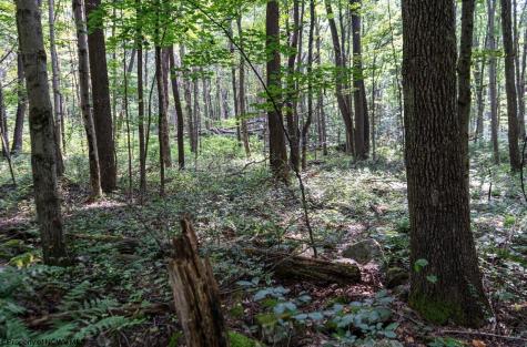 0 N Preston Highway Bruceton Mills WV 26525