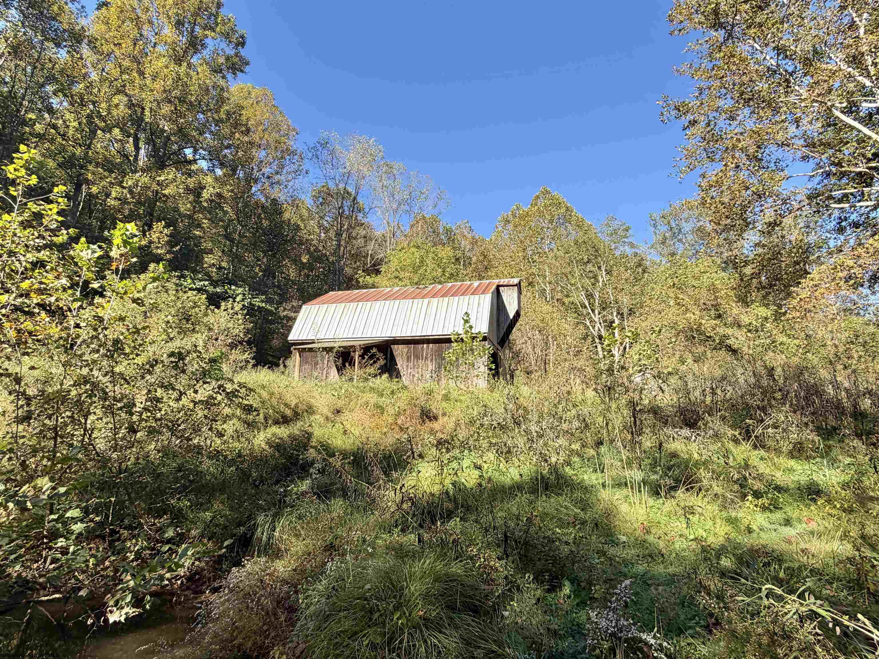 317 Grove Summers Road New Milton WV 26411