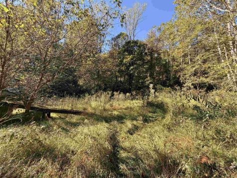 317 Grove Summers Road New Milton WV 26411