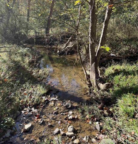 317 Grove Summers Road New Milton WV 26411