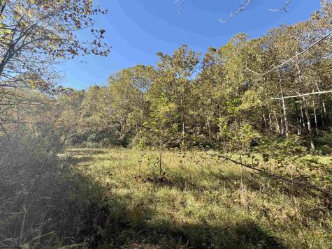 317 Grove Summers Road New Milton WV 26411
