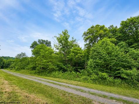 12 Iron Horse Lane Dryfork WV 26263