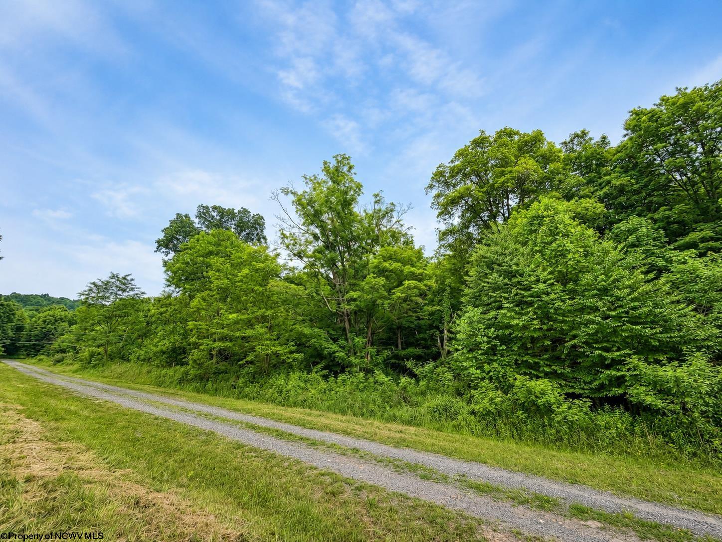 12 Iron Horse Lane Dryfork WV 26263