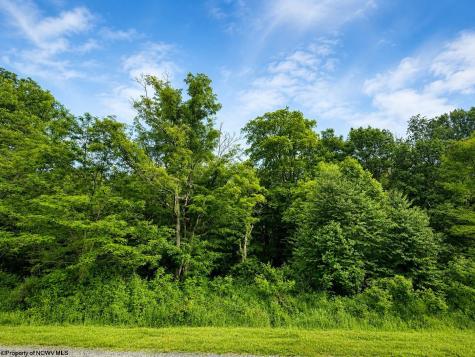 12 Iron Horse Lane Dryfork WV 26263