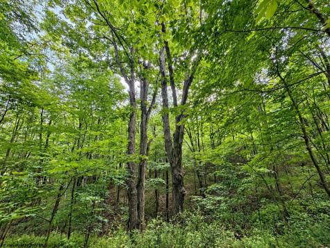 12 Iron Horse Lane Dryfork WV 26263