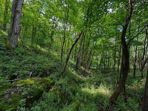 12 Iron Horse Lane Dryfork WV 26263