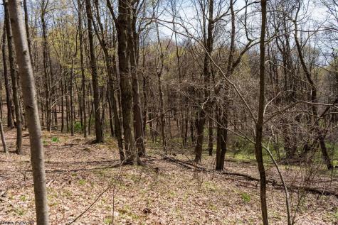 0 Ooga Ooga Lane Valley Grove WV 26060