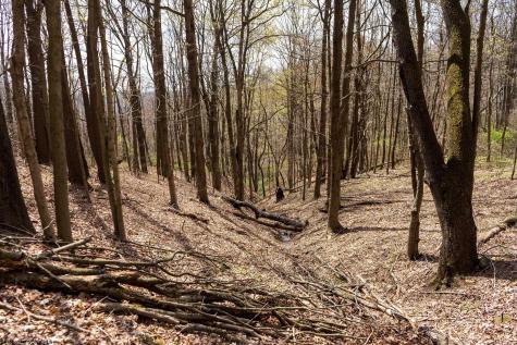 0 Ooga Ooga Lane Valley Grove WV 26060