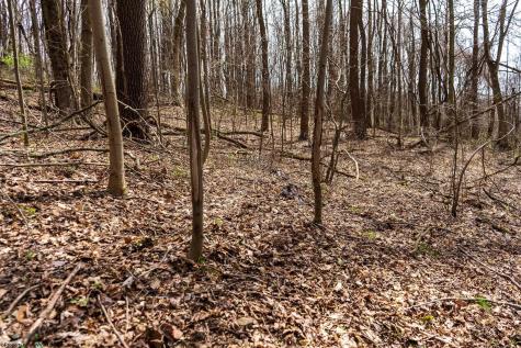 0 Ooga Ooga Lane Valley Grove WV 26060