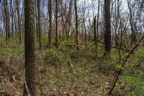 0 Ooga Ooga Lane Valley Grove WV 26060