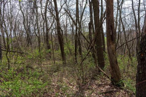 0 Ooga Ooga Lane Valley Grove WV 26060