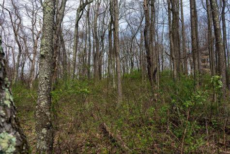 0 Ooga Ooga Lane Valley Grove WV 26060