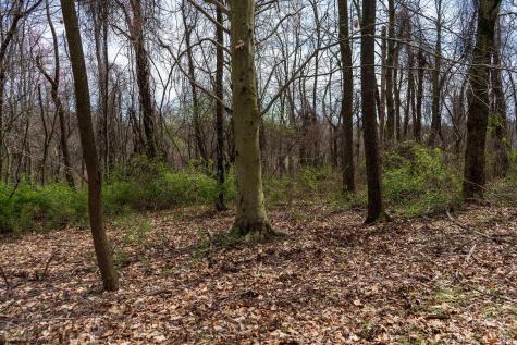 0 Ooga Ooga Lane Valley Grove WV 26060