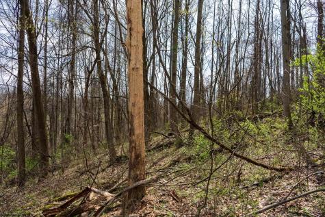0 Ooga Ooga Lane Valley Grove WV 26060