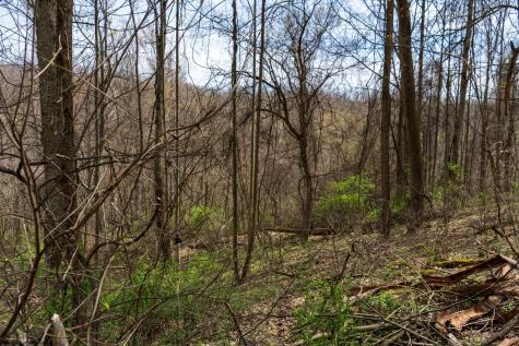 0 Ooga Ooga Lane Valley Grove WV 26060