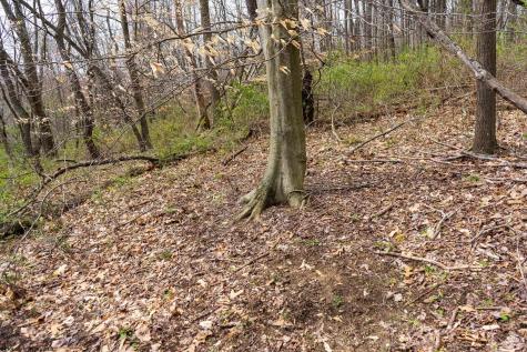 0 Ooga Ooga Lane Valley Grove WV 26060