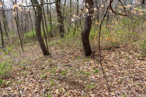 0 Ooga Ooga Lane Valley Grove WV 26060