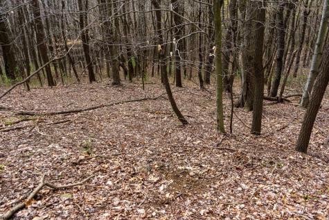 0 Ooga Ooga Lane Valley Grove WV 26060