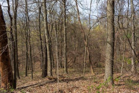 0 Ooga Ooga Lane Valley Grove WV 26060