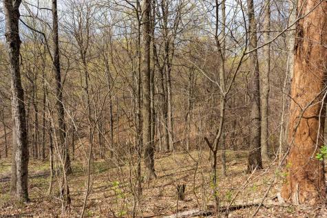 0 Ooga Ooga Lane Valley Grove WV 26060