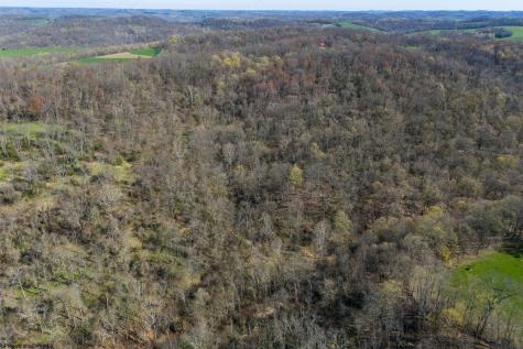 0 Ooga Ooga Lane Valley Grove WV 26060