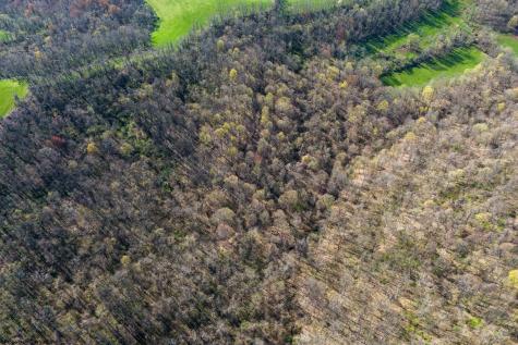 0 Ooga Ooga Lane Valley Grove WV 26060