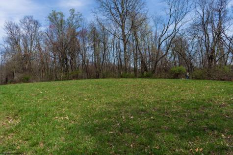 0 Ooga Ooga Lane Valley Grove WV 26060