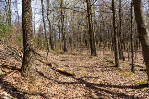 0 Ooga Ooga Lane Valley Grove WV 26060