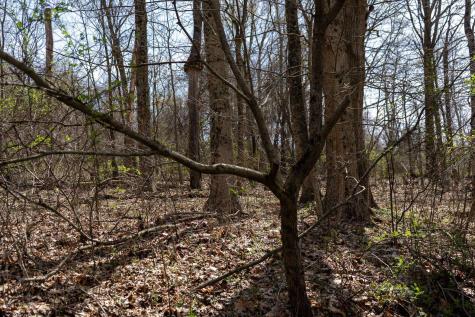 0 Ooga Ooga Lane Valley Grove WV 26060