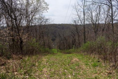 0 Ooga Ooga Lane Valley Grove WV 26060