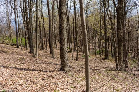 0 Ooga Ooga Lane Valley Grove WV 26060