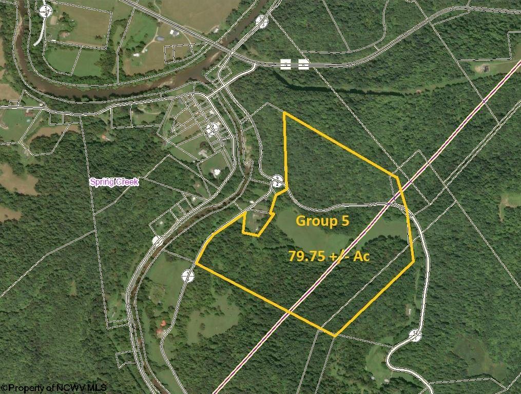 88 Little Creek Road Creston WV 26141