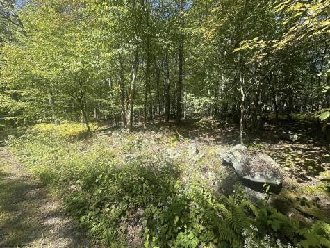 47 Day Lily Court Terra Alta WV 26764