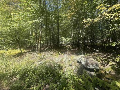 47 Day Lily Court Terra Alta WV 26764