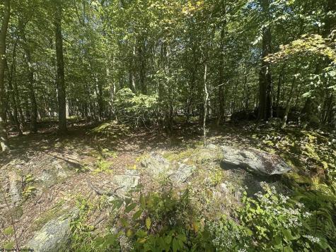 47 Day Lily Court Terra Alta WV 26764