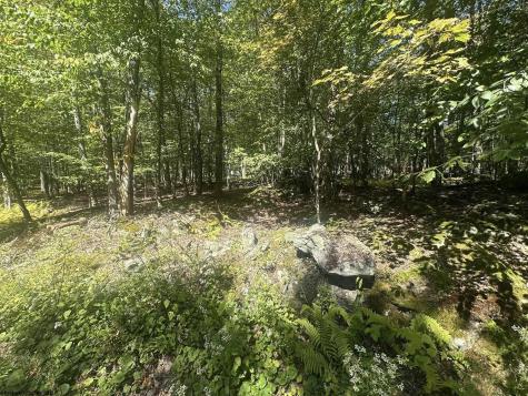 47 Day Lily Court Terra Alta WV 26764