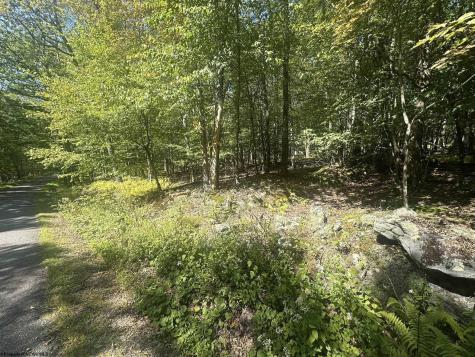 47 Day Lily Court Terra Alta WV 26764