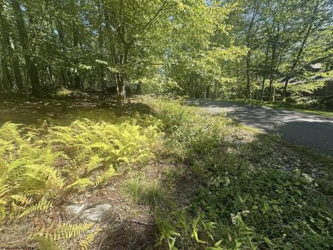 47 Day Lily Court Terra Alta WV 26764