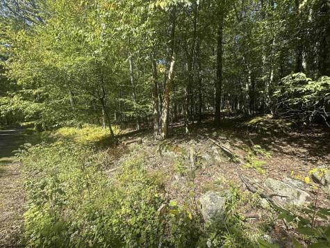 47 Day Lily Court Terra Alta WV 26764