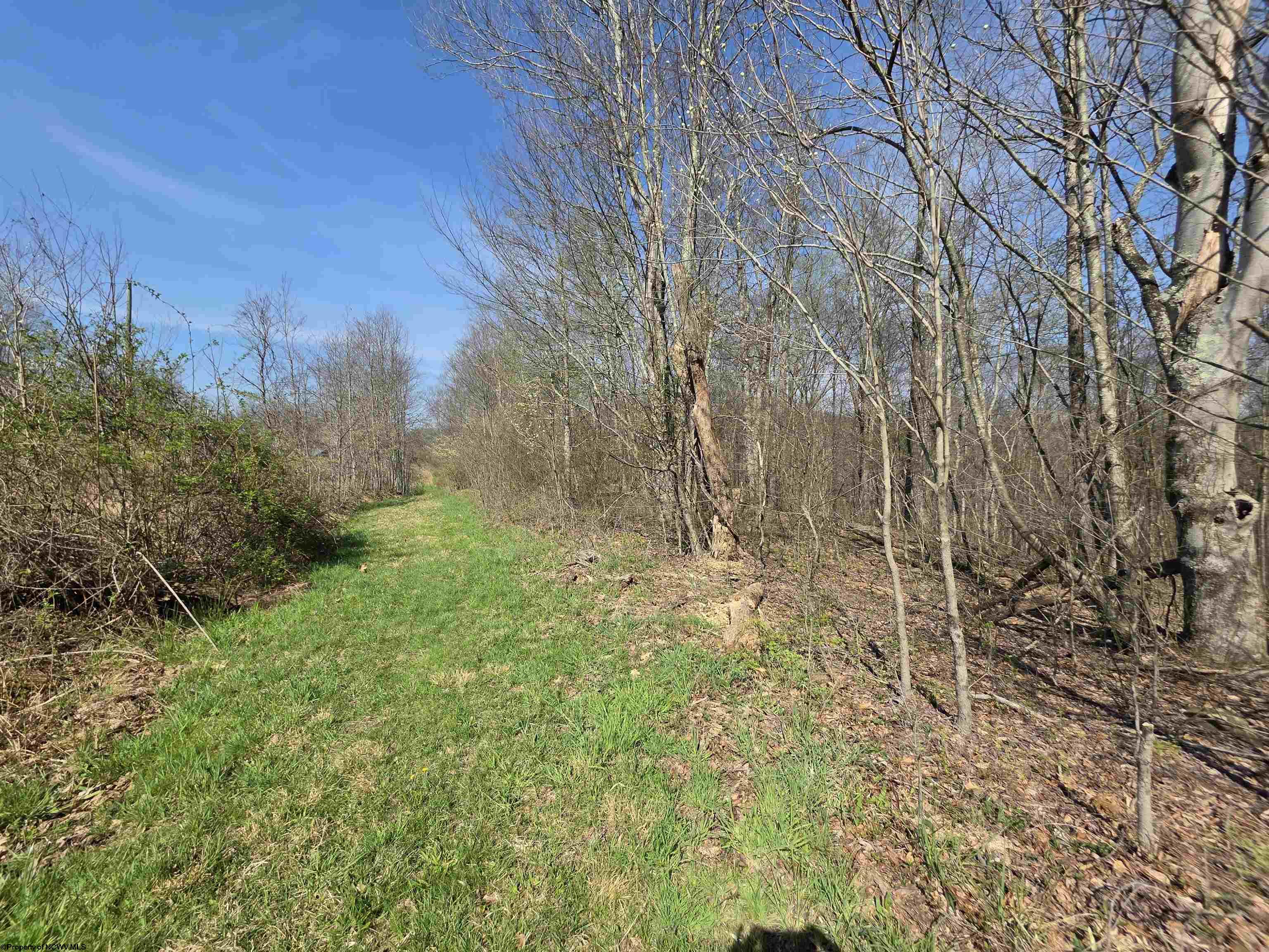 17 Poplar Drive Grafton WV 26354