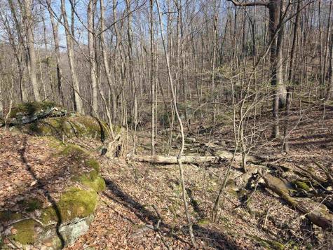 17 Poplar Drive Grafton WV 26354