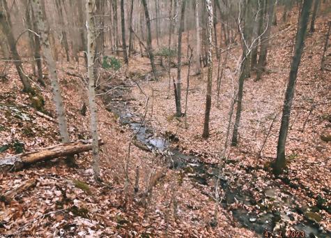 17 Poplar Drive Grafton WV 26354