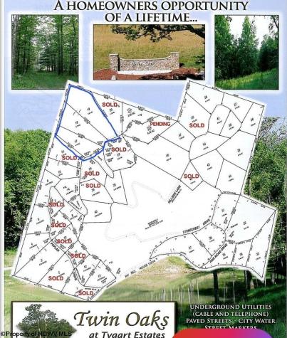 17 Poplar Drive Grafton WV 26354