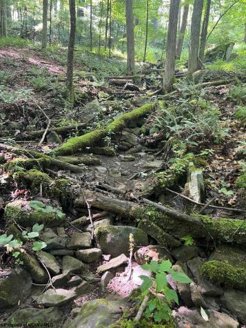 17 Poplar Drive Grafton WV 26354