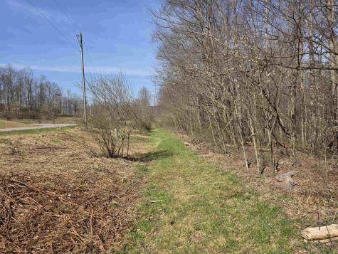 17 Poplar Drive Grafton WV 26354