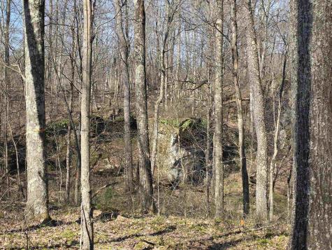 17 Poplar Drive Grafton WV 26354