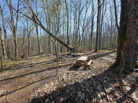 17 Poplar Drive Grafton WV 26354