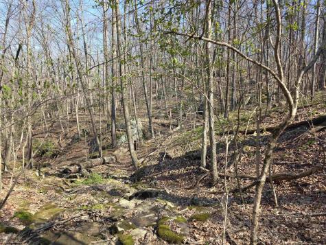 17 Poplar Drive Grafton WV 26354