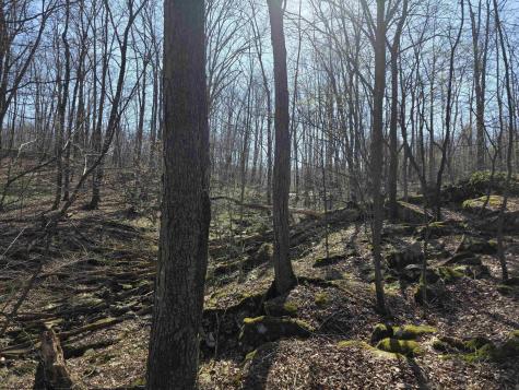 17 Poplar Drive Grafton WV 26354